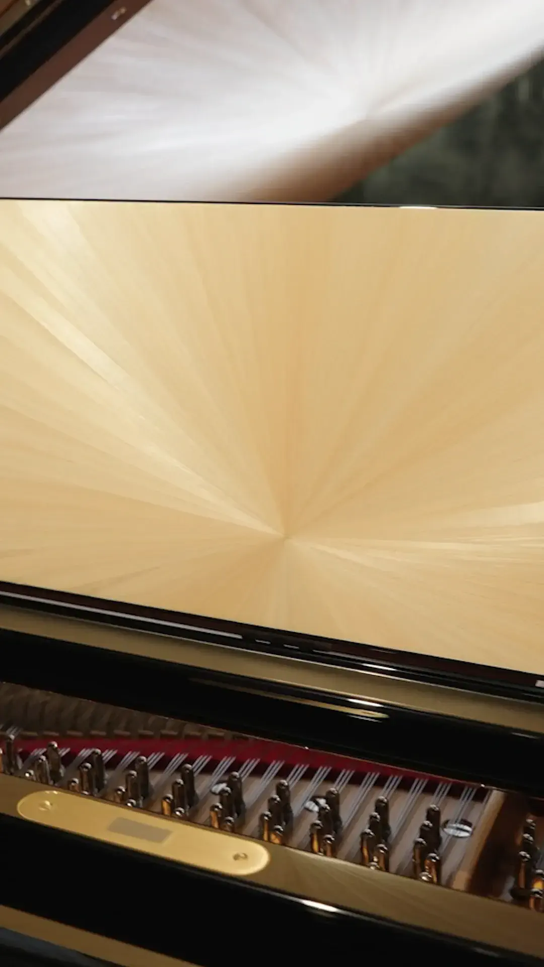 straw_marquetry_9_16.mp4 thumbnail